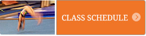 class_schedule_button